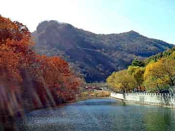 管家婆免费正版资起大全，大鹏背景